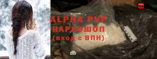 индика Арсеньев