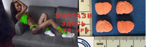 индика Арсеньев