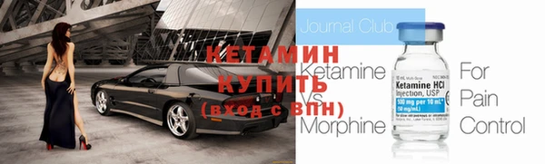 индика Арсеньев