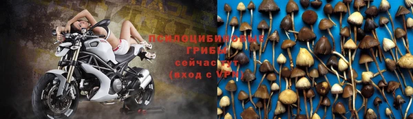 прущий лед Армянск