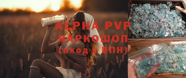 индика Арсеньев