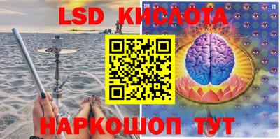 прущие грибы Заводоуковск