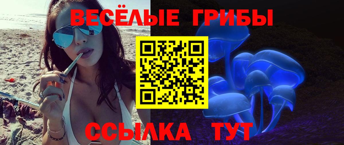 Галлюциногенные грибы прущие грибы  Вход с VPN  Майкоп  Галлюциногенные грибы GOLDEN TEACHER 
